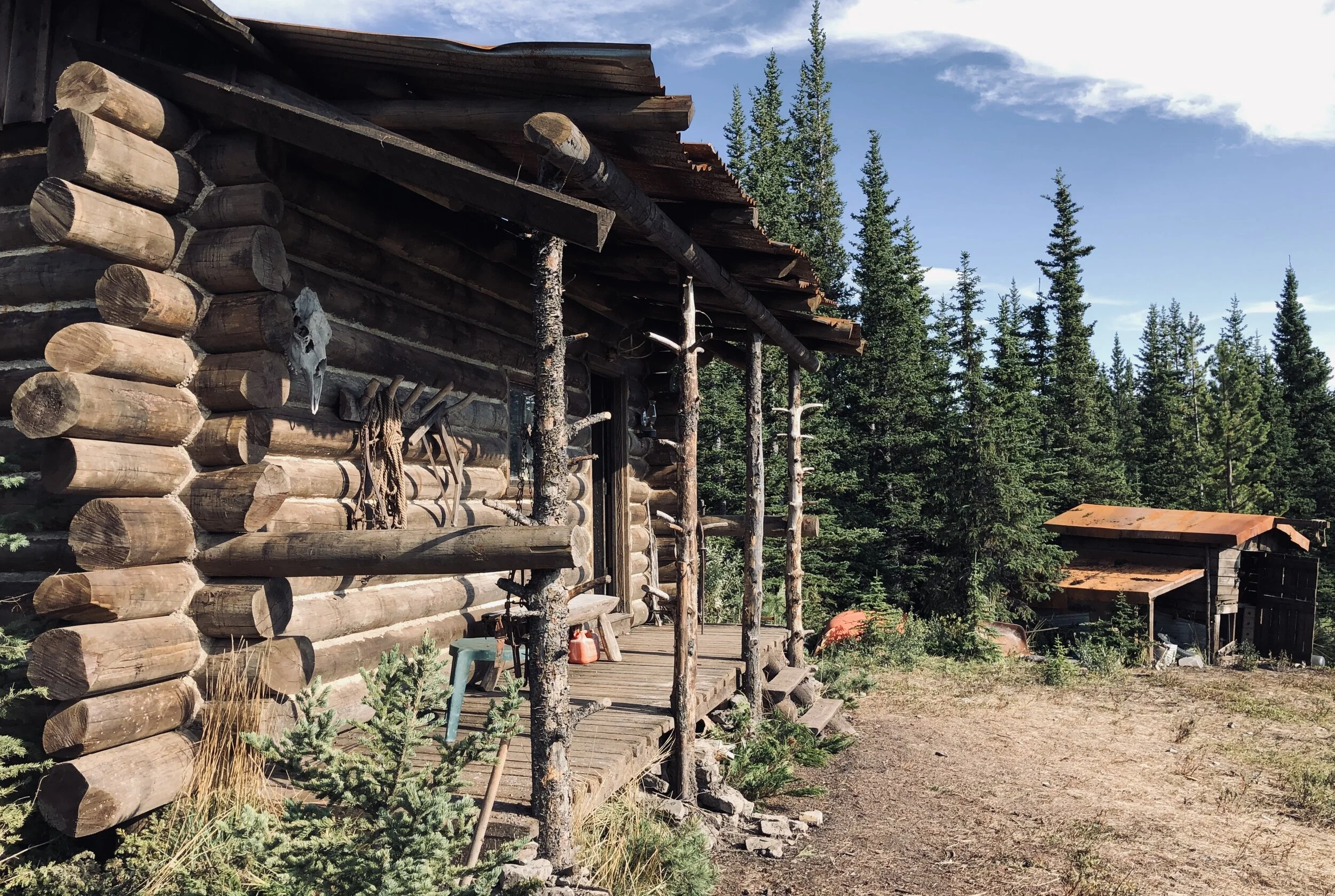 2019-09-03 17.13.39.jpg