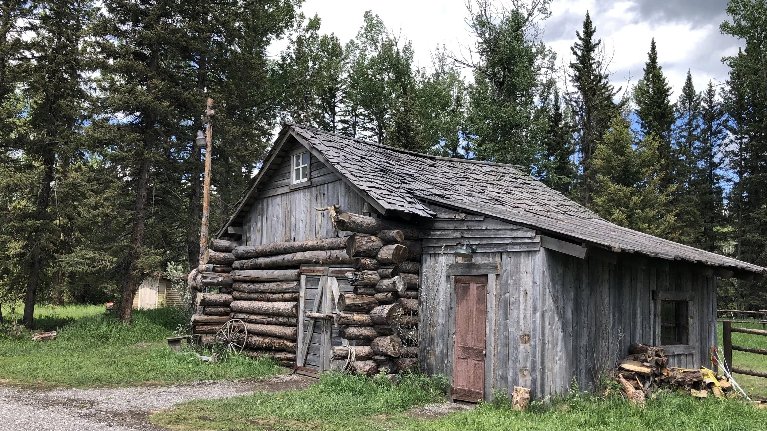 2021-06-20 12.04.30-2.jpg