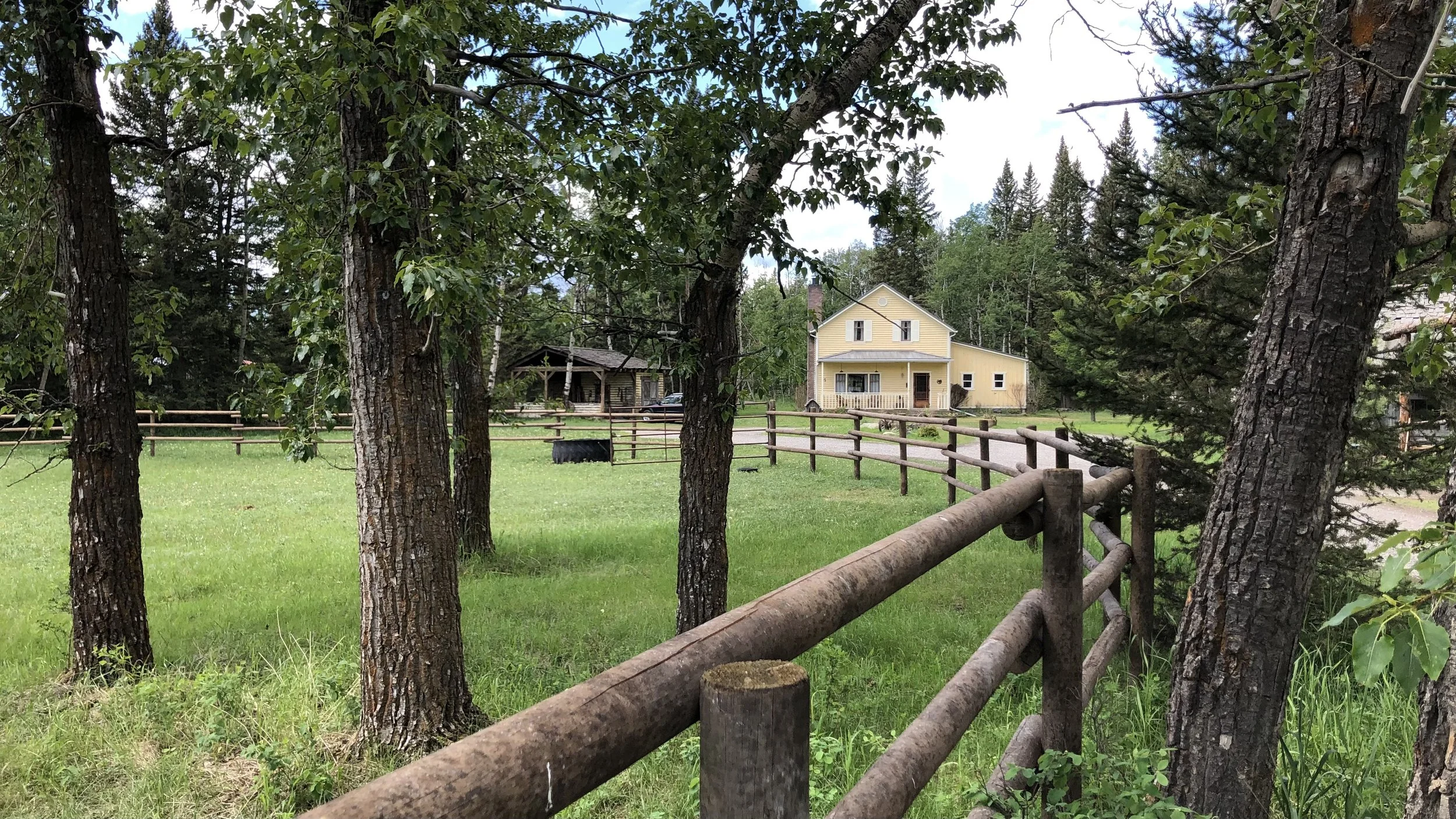 2021-06-20 12.05.15-2.jpg