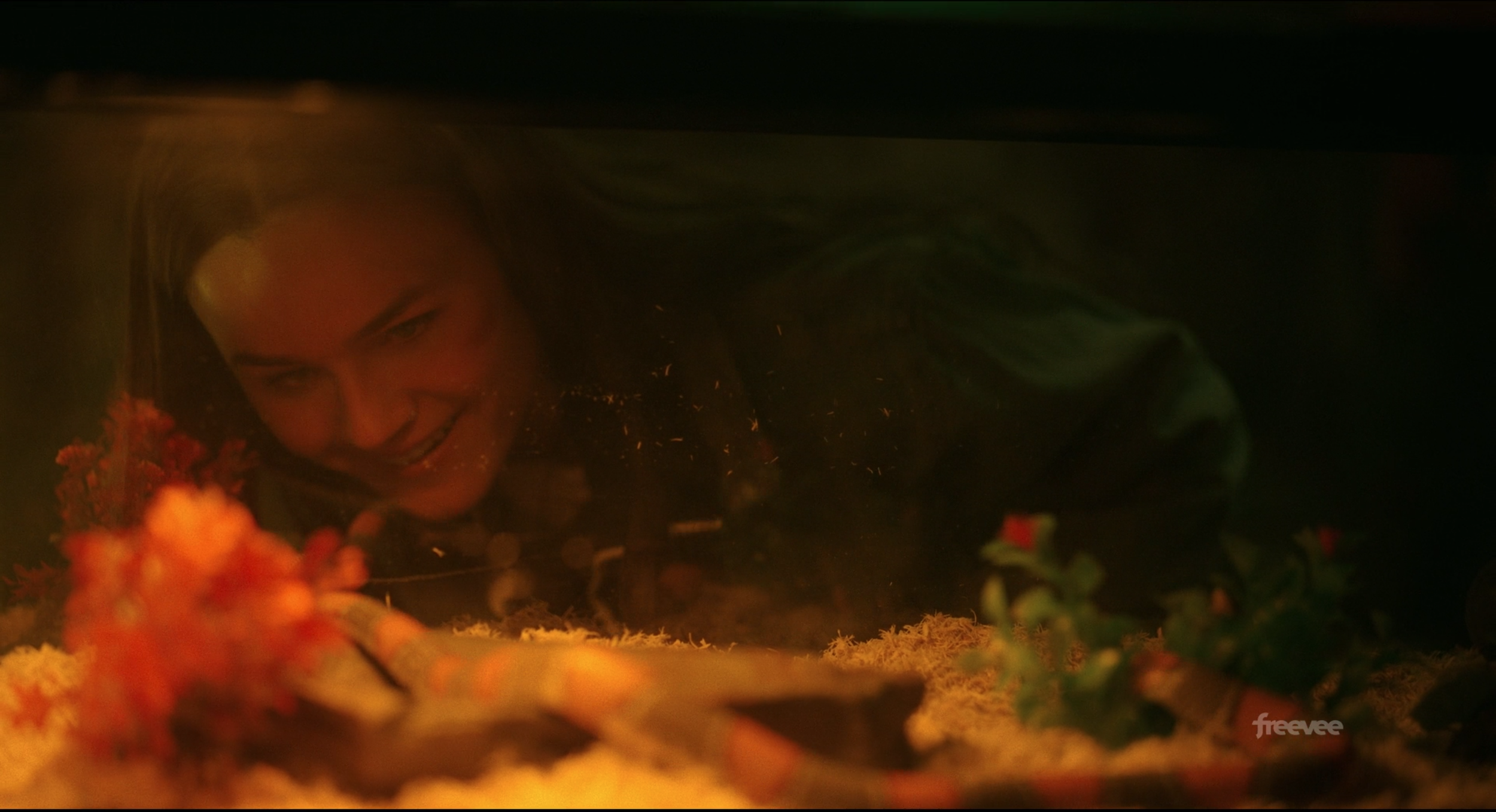 Screen Shot 2022-10-20 at 11.50.01 AM.png