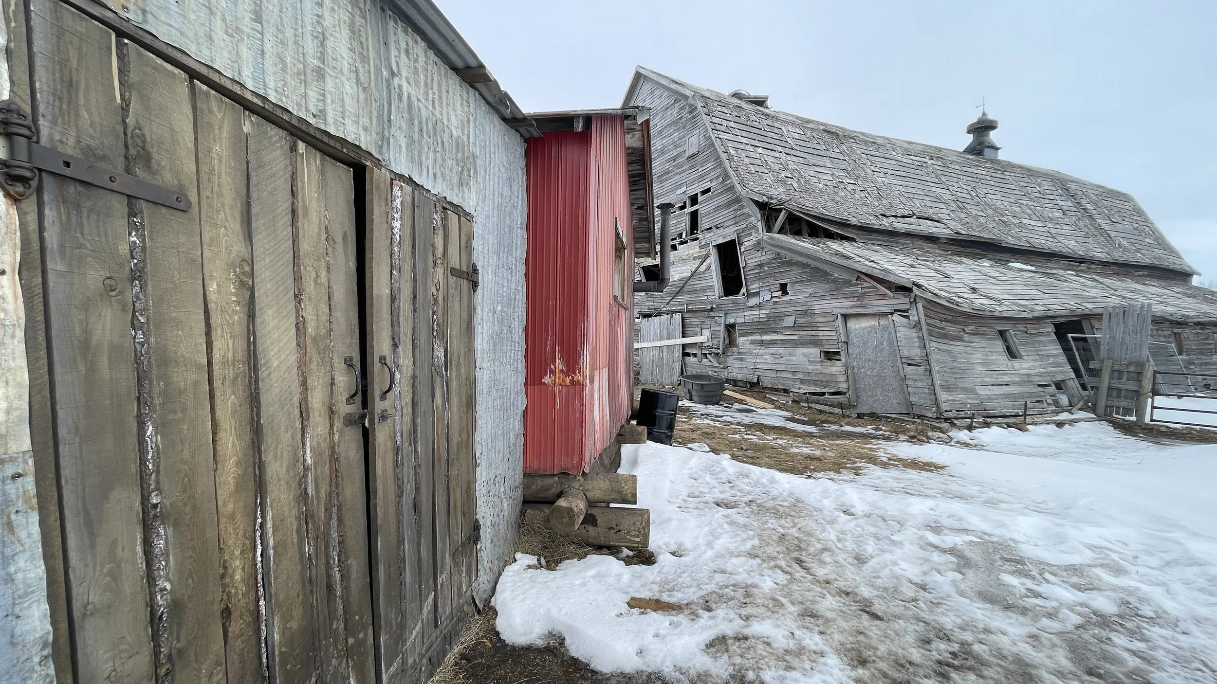 2023-03-13 14.59.11.jpg