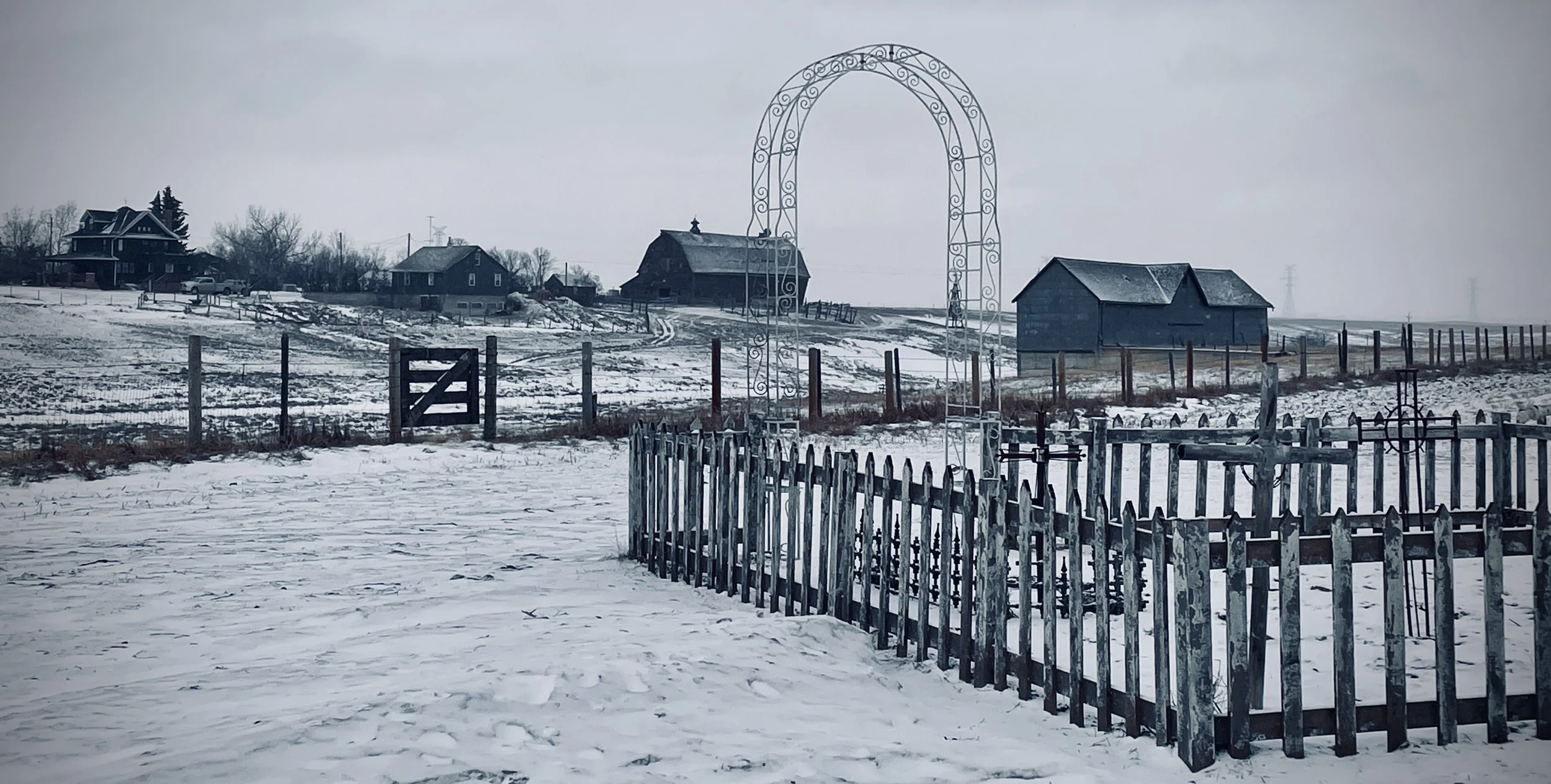 2022-11-30 11.38.12.jpg