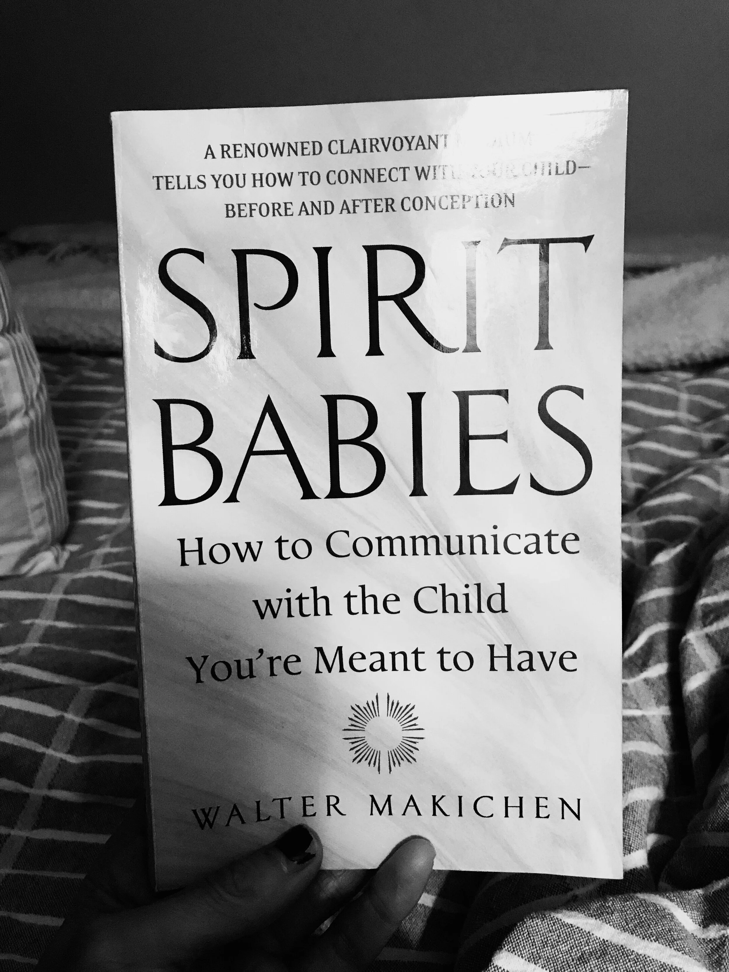spirit babies book