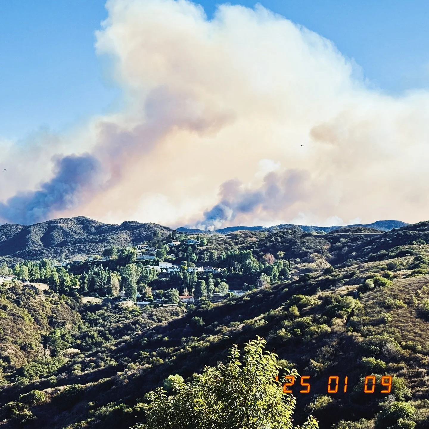 It&rsquo;s January 10, 2025,
Words truly fail to capture the heartbreak of what&rsquo;s happening to our city. First and foremost, I want to say that Torry, myself, the puppies, and our hummingbirds are safe, at the moment. But so many of our friends