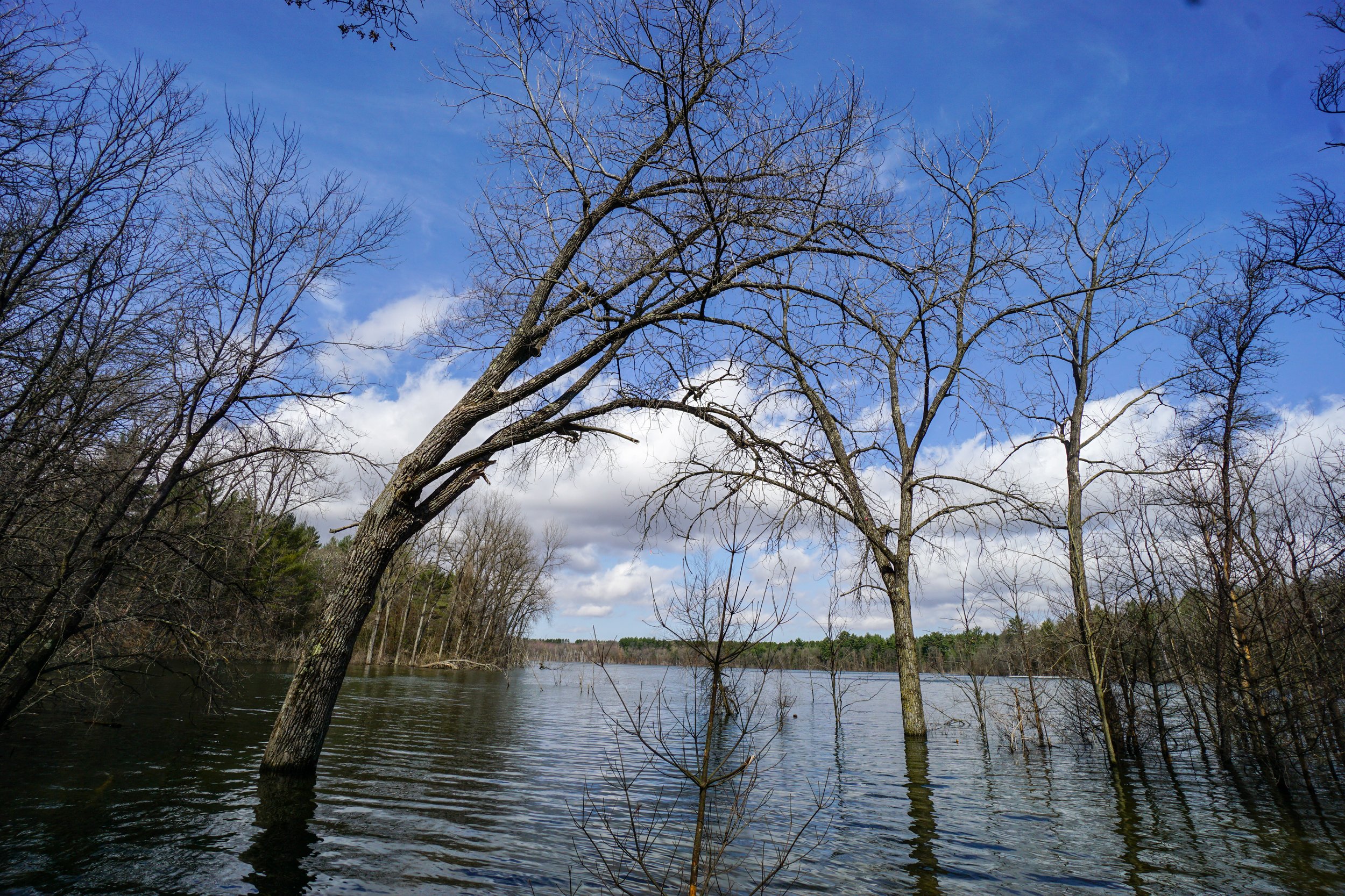 Pickerel Lake (#227) - 4/24/22