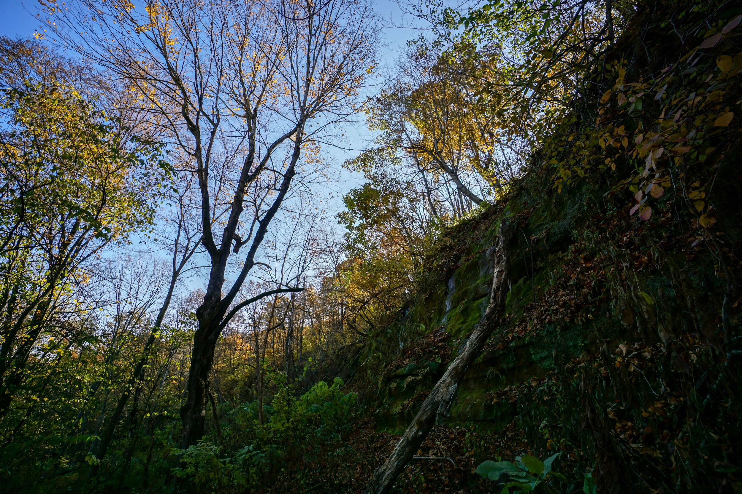 Coon Creek Cliffs (#201) - 10/15/22