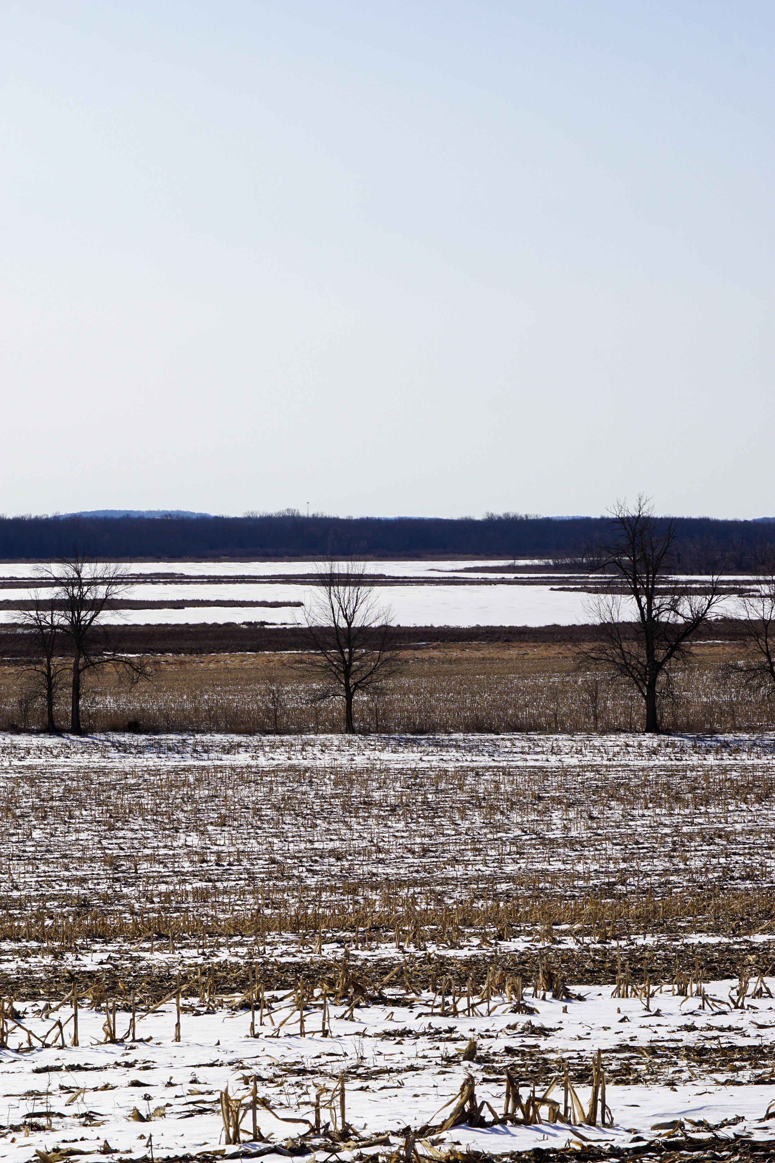 Chub and Mud Lake Riverine Marsh (#606) - 2/19/23