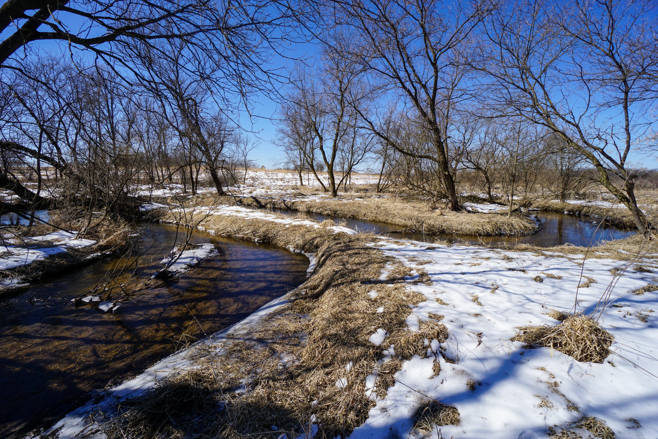 French Creek North (#663) - 3/19/23