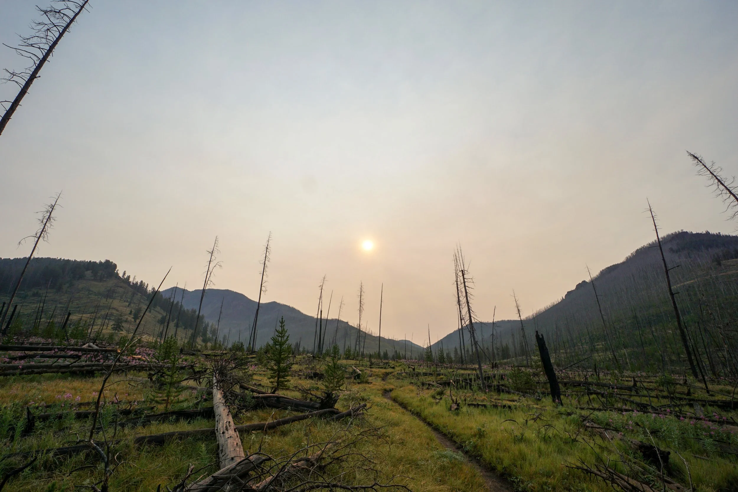 Studying Yellowstone’s Burn Scars to Reveal its Future