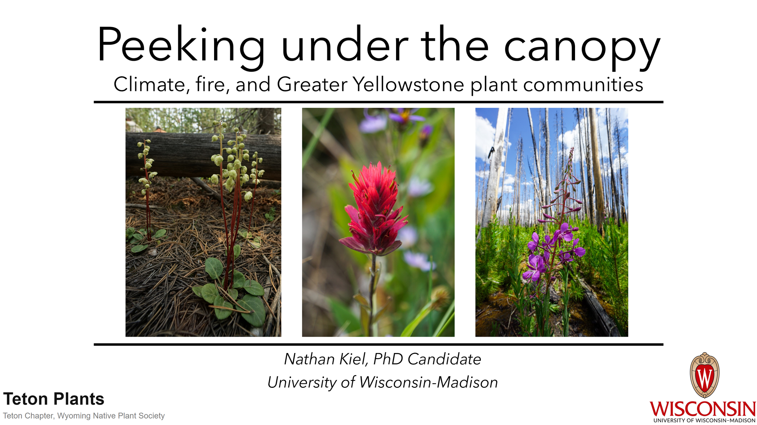 Fire ecology program with the Wyoming Native Plant Society