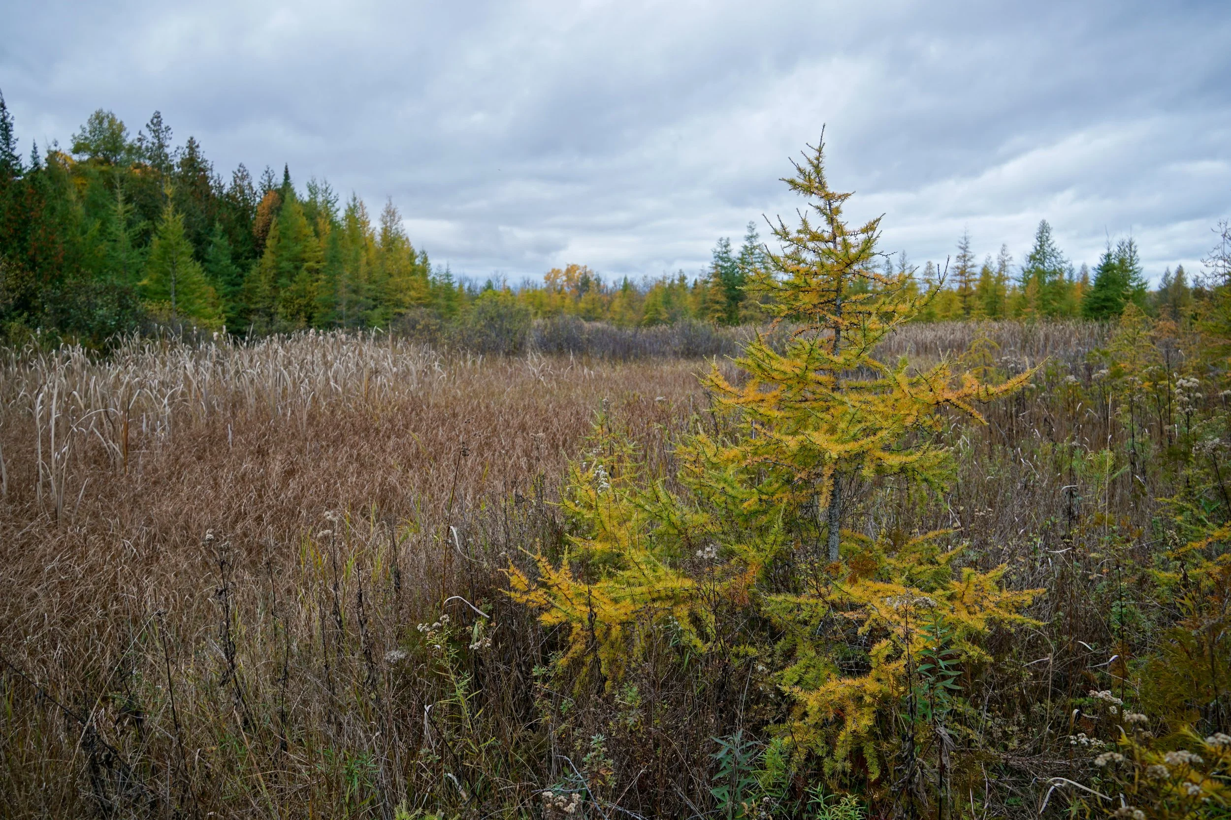 Mud Lake (#125) - 10/22/23