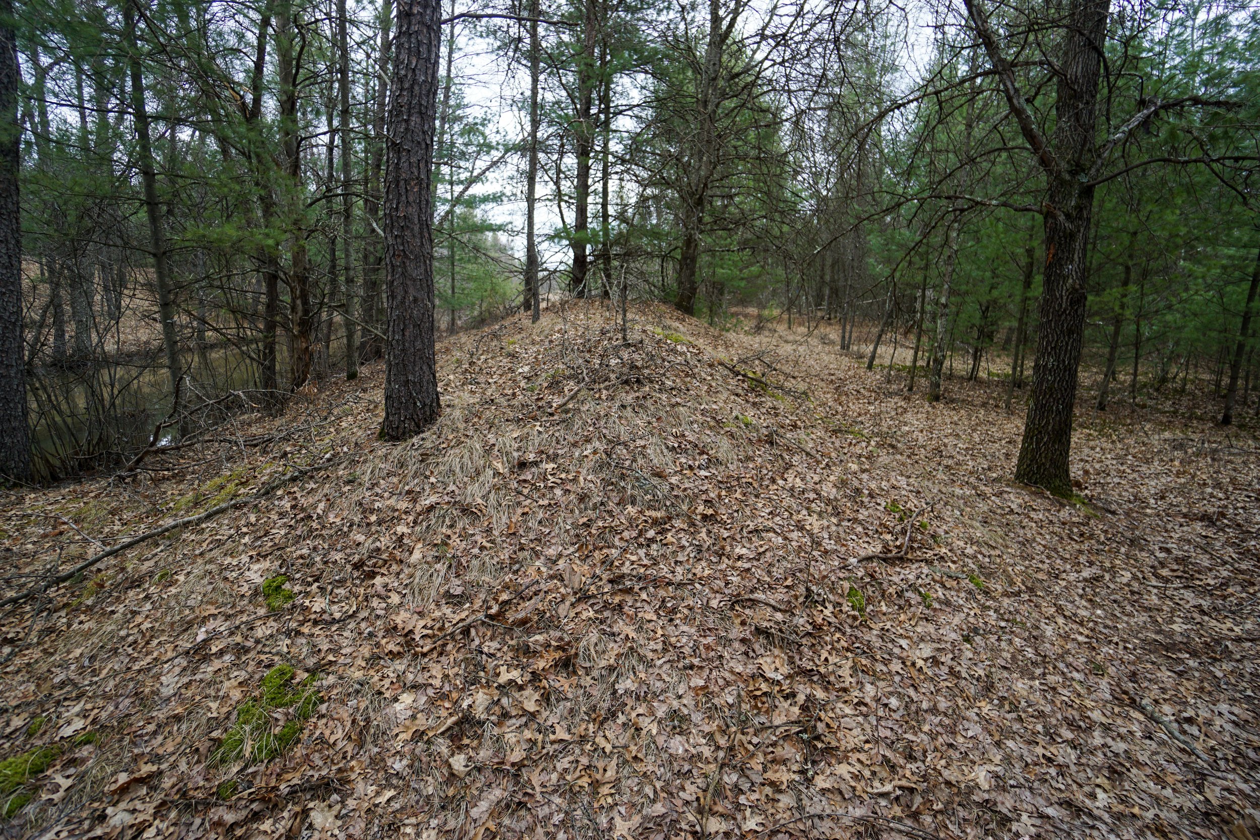 Cranberry Creek Mound Group (#203) - 4/23/22