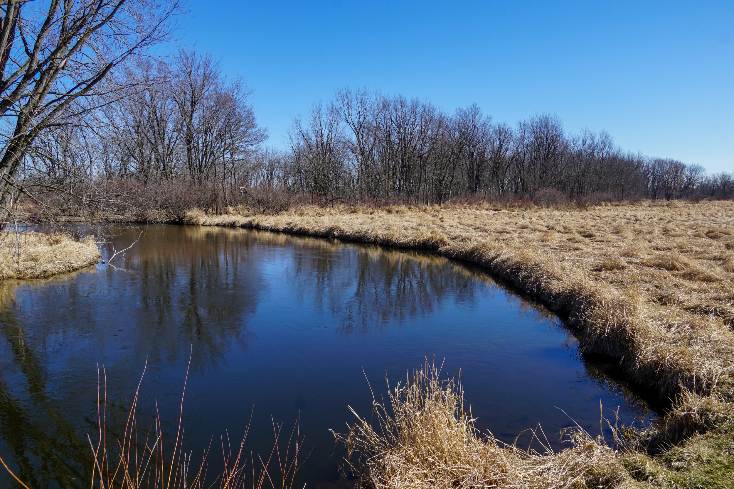 White River Sedge Meadow (#367) - 3/10/24