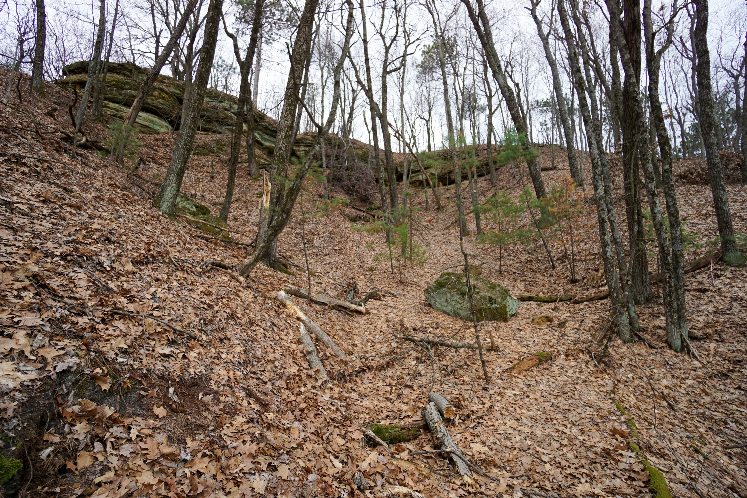 Wildcat Ridge (#615) - 3/16/24