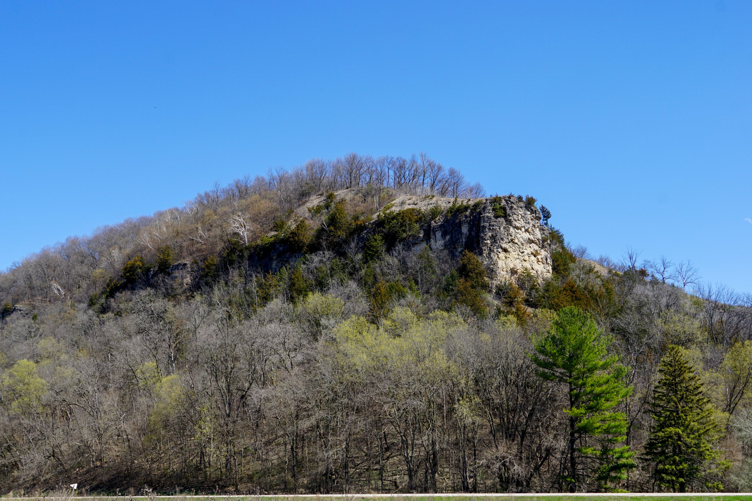 Limery Ridge Savanna (#341) - 4/14/24