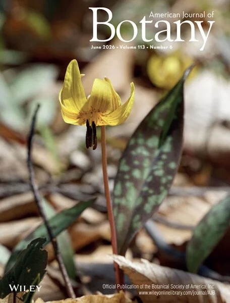 Camouflage via leaf mottling in trout lily increases with forest cover and deer abundance