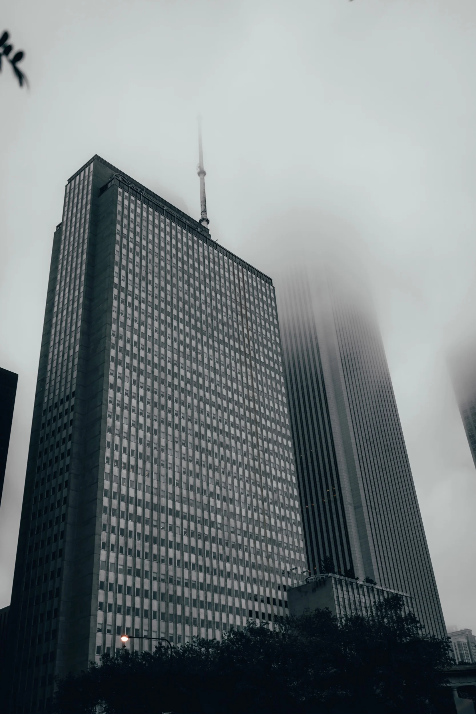 daytime_fog_chicago-14.jpeg