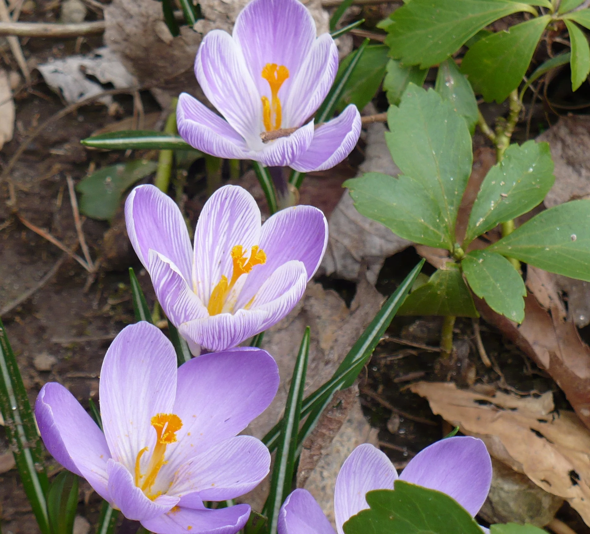 P1010840.JPG