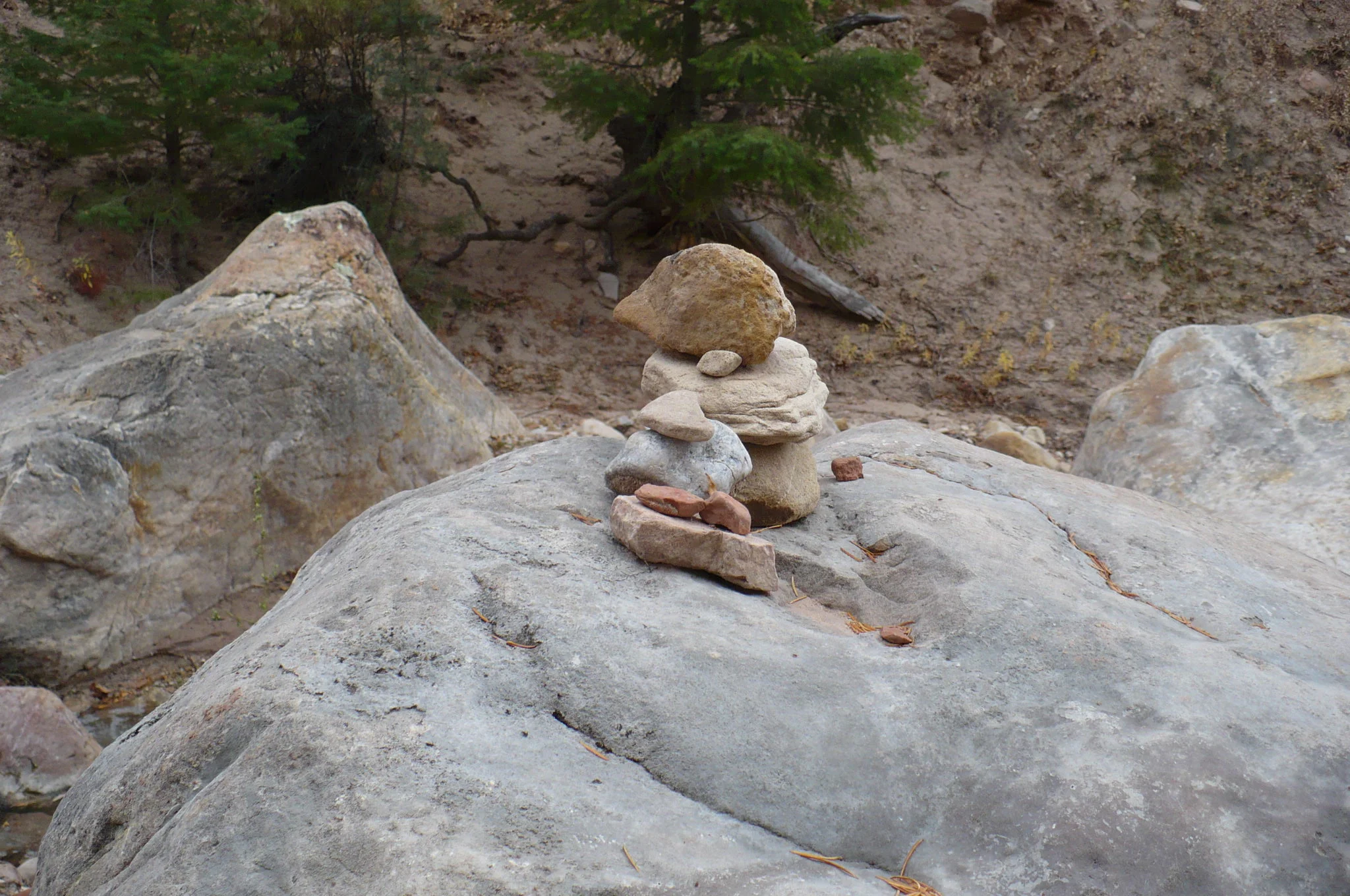 P1000226.JPG