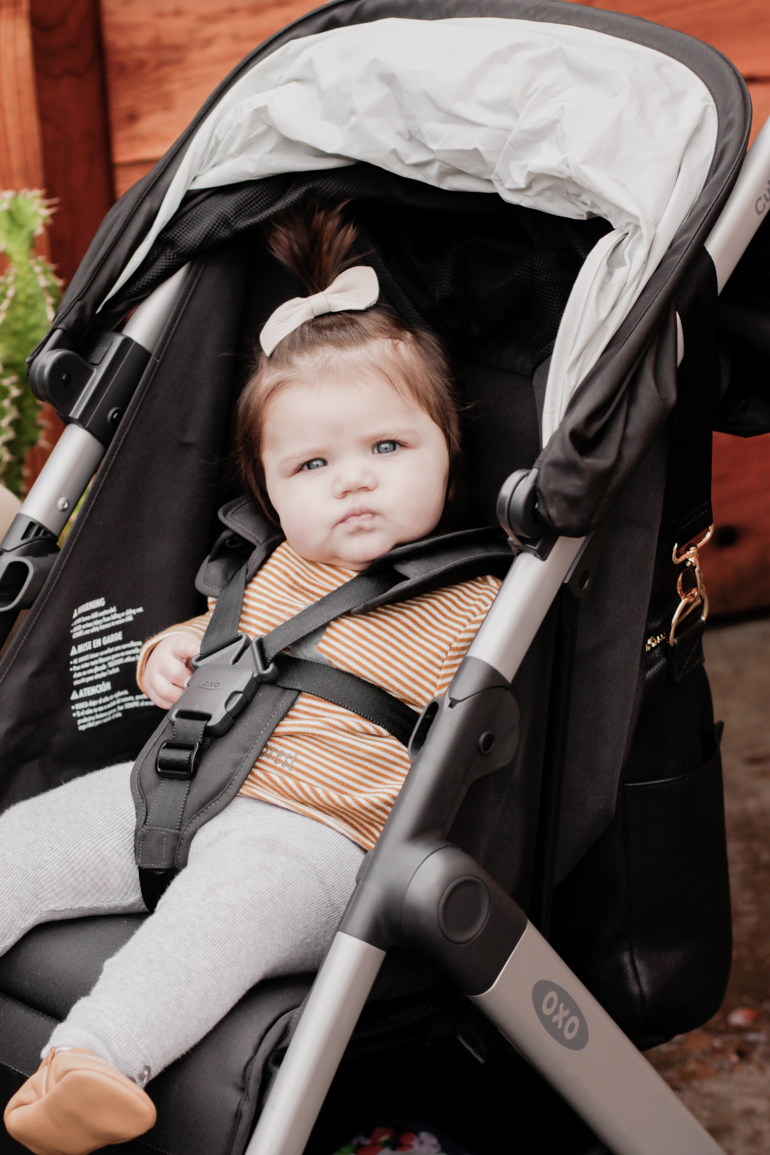 oxo cubby stroller review