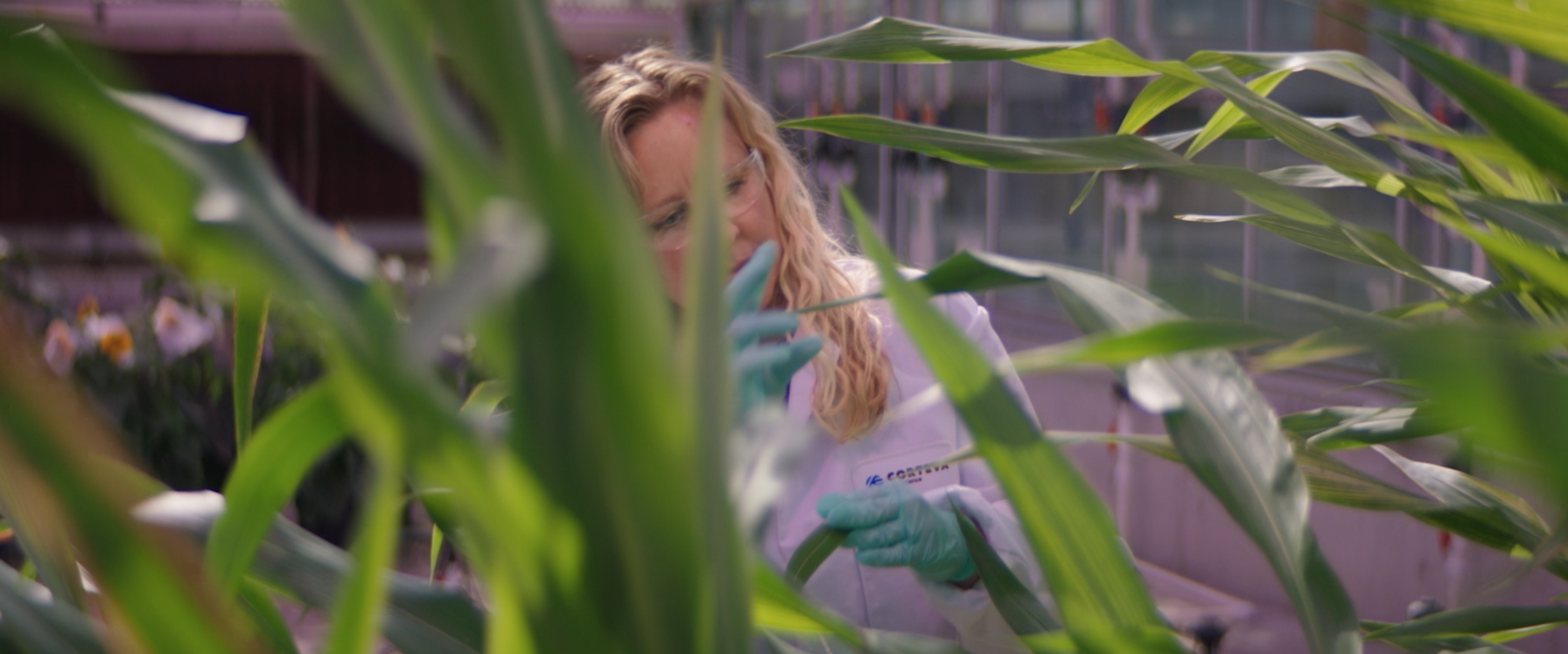 IBM: Raising Cora
