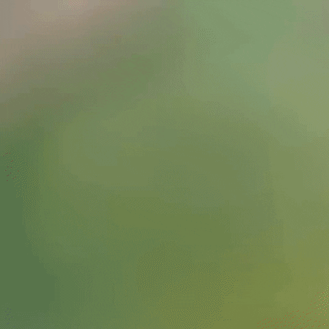 EARTH_DAY_Animated GIF-downsized_large.gif