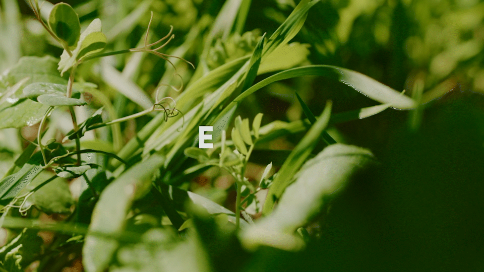 Corteva_Carbon_Farming_120619_AdobeExpress_COVERCROPS.gif