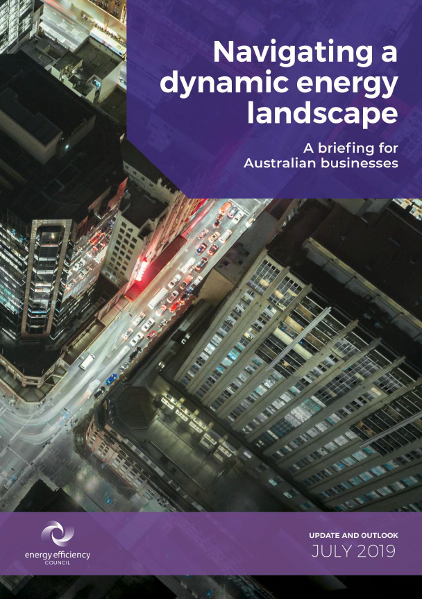 Energy briefing cover - July 2019.png