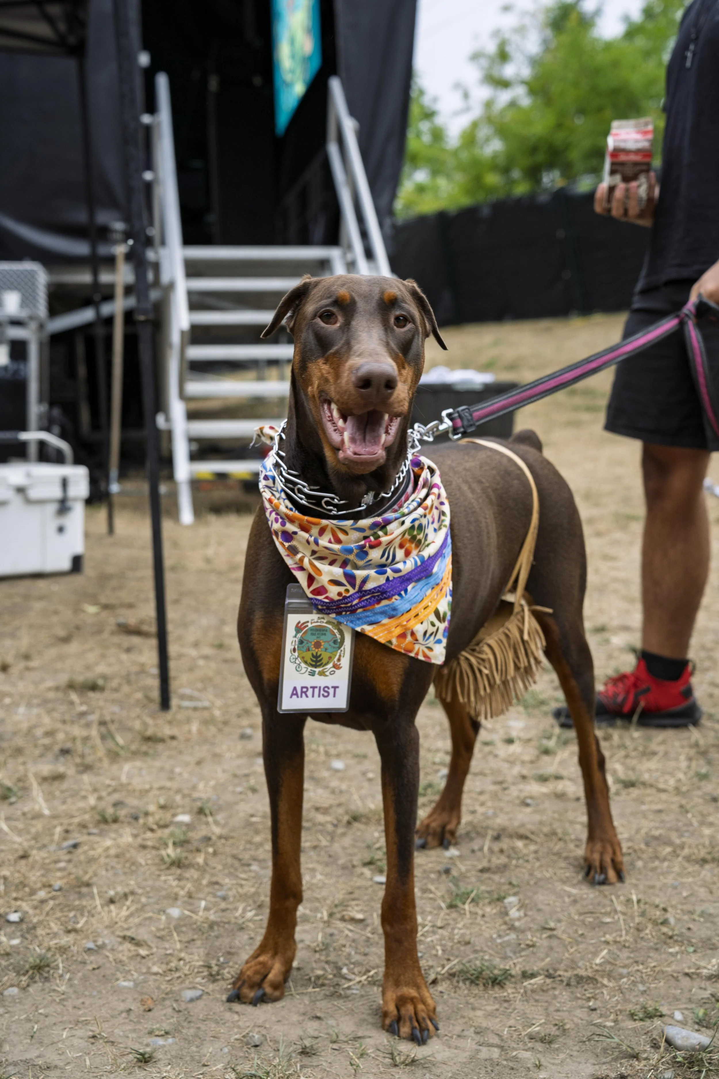 LukeBestPhoto-7307120.jpg