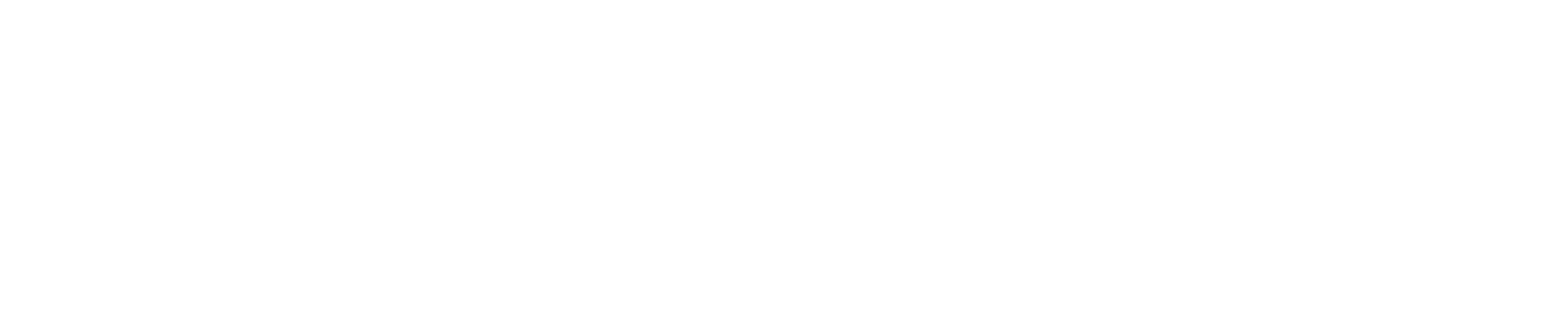 In_Logo_W.png