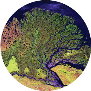 NASA Space Apps Challenge_Banner_Ecological Neighborhood_circle.png