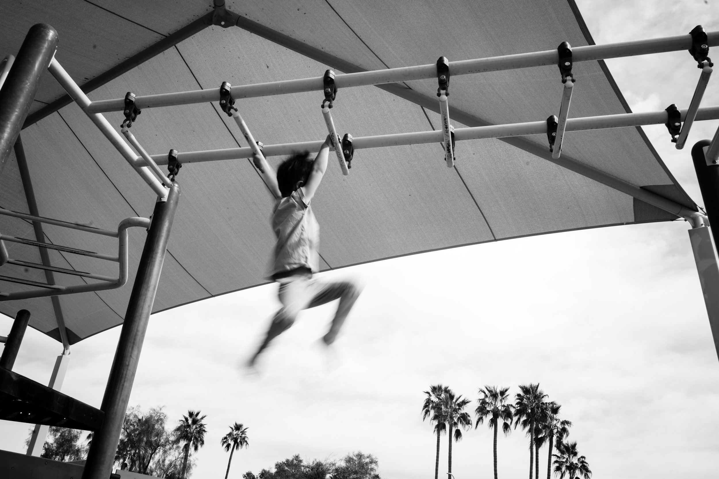 2025 Round-Up: A Year of Change, Growth, and Creativity