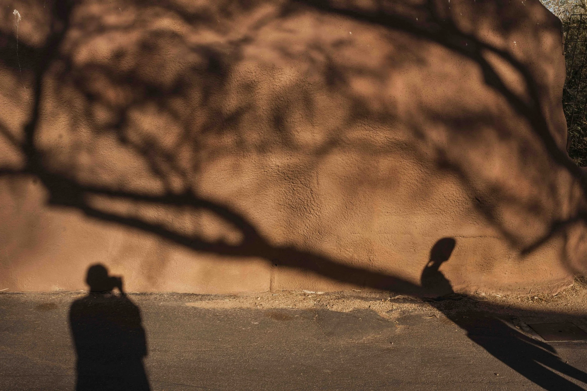 The Gap Between What We Want and What We Need and Where We Are