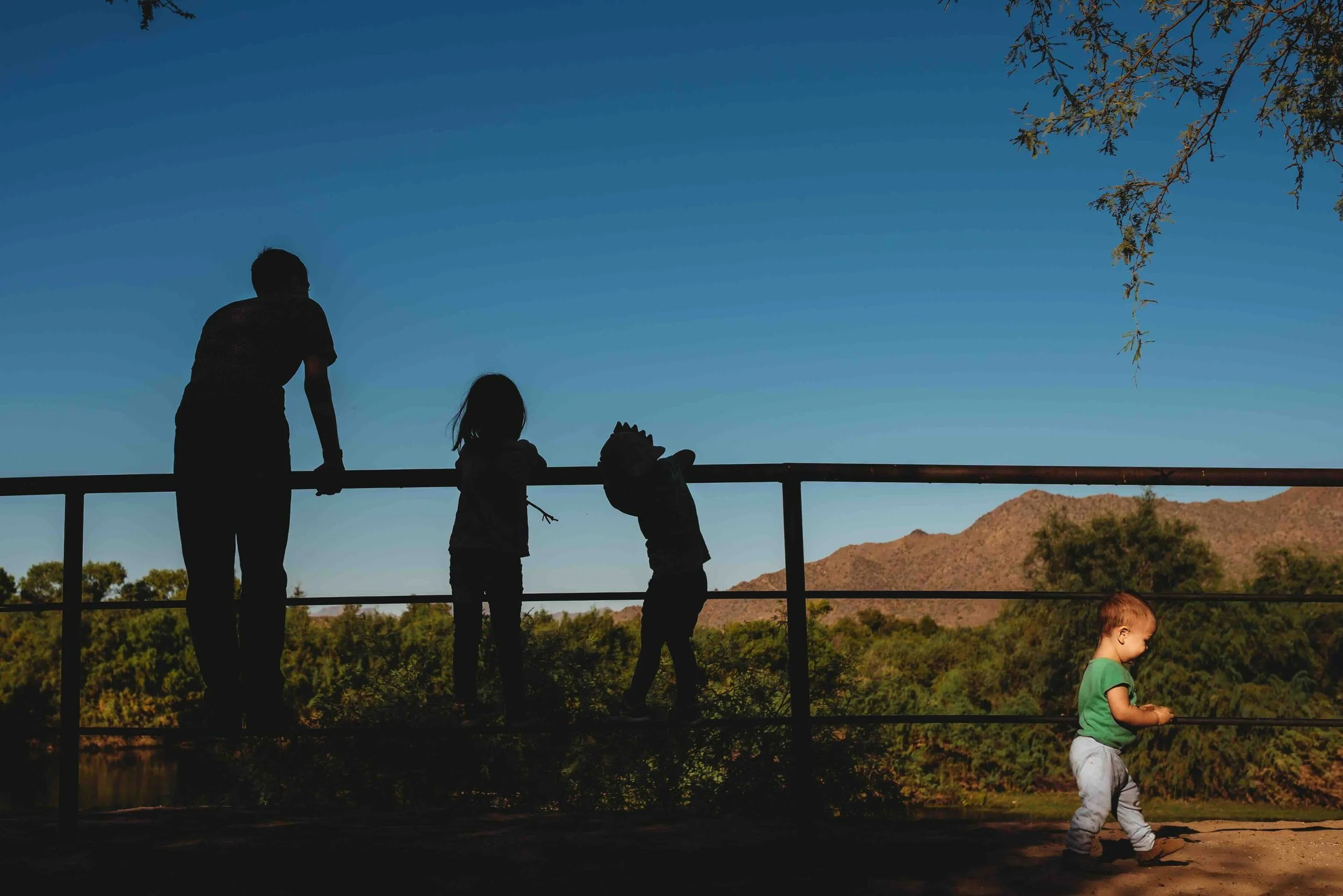 The Way We See Has Changed