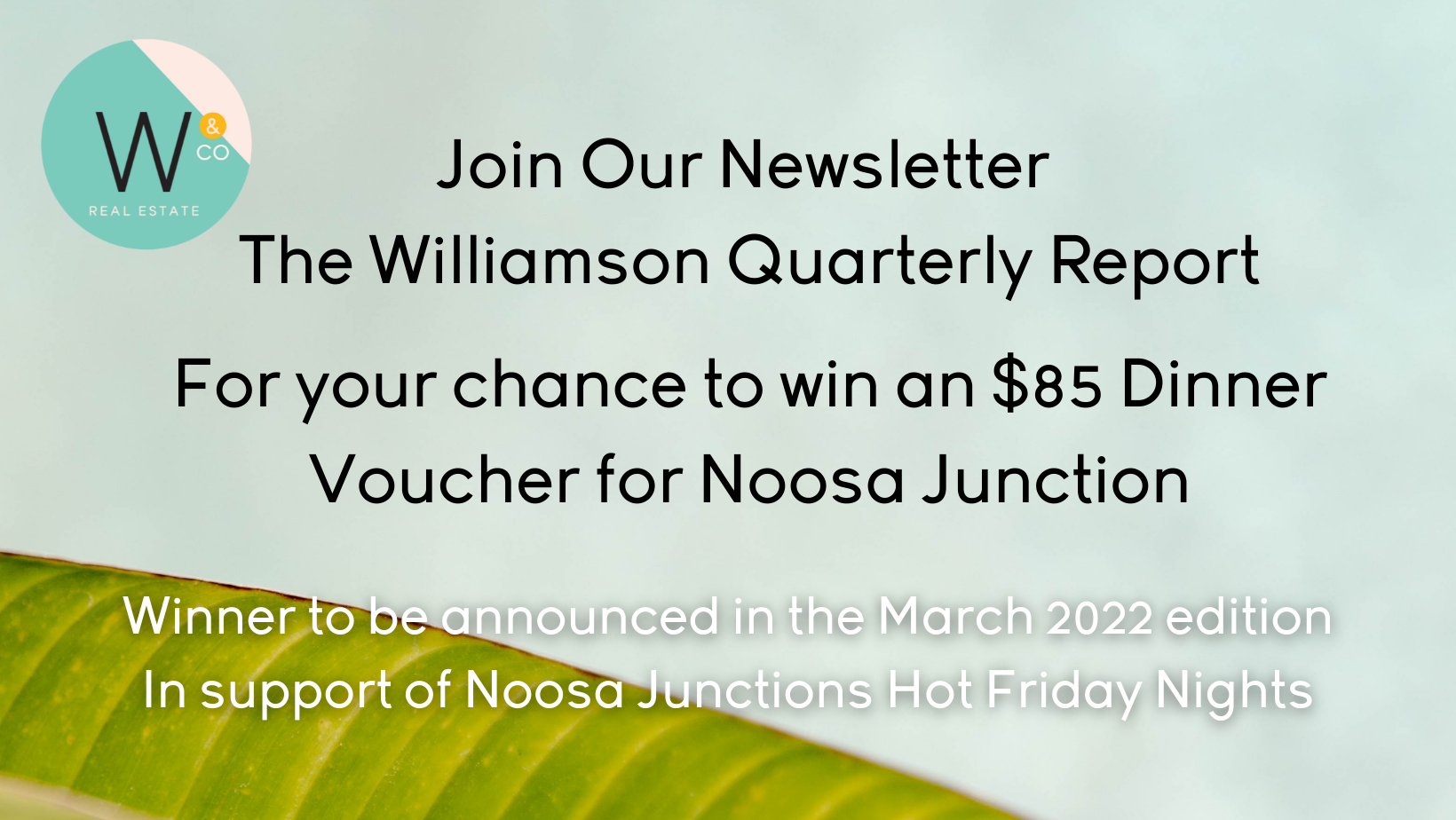 Williamson & Co Real Estate Buy, Sell and Lease