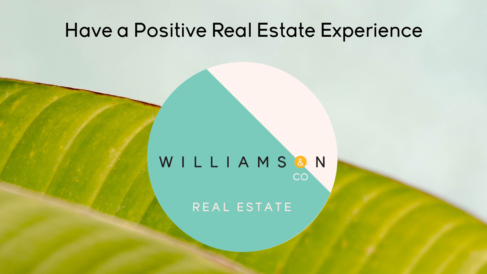 Williamson & Co Real Estate Buy, Sell and Lease