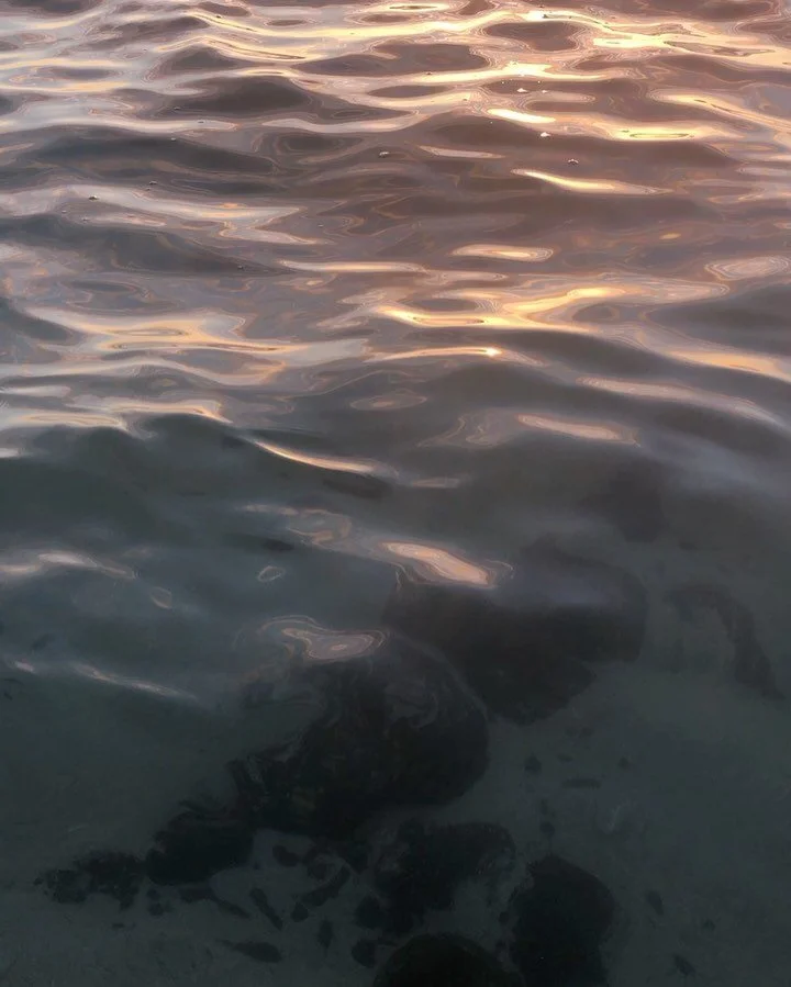 nearby to the ocean
