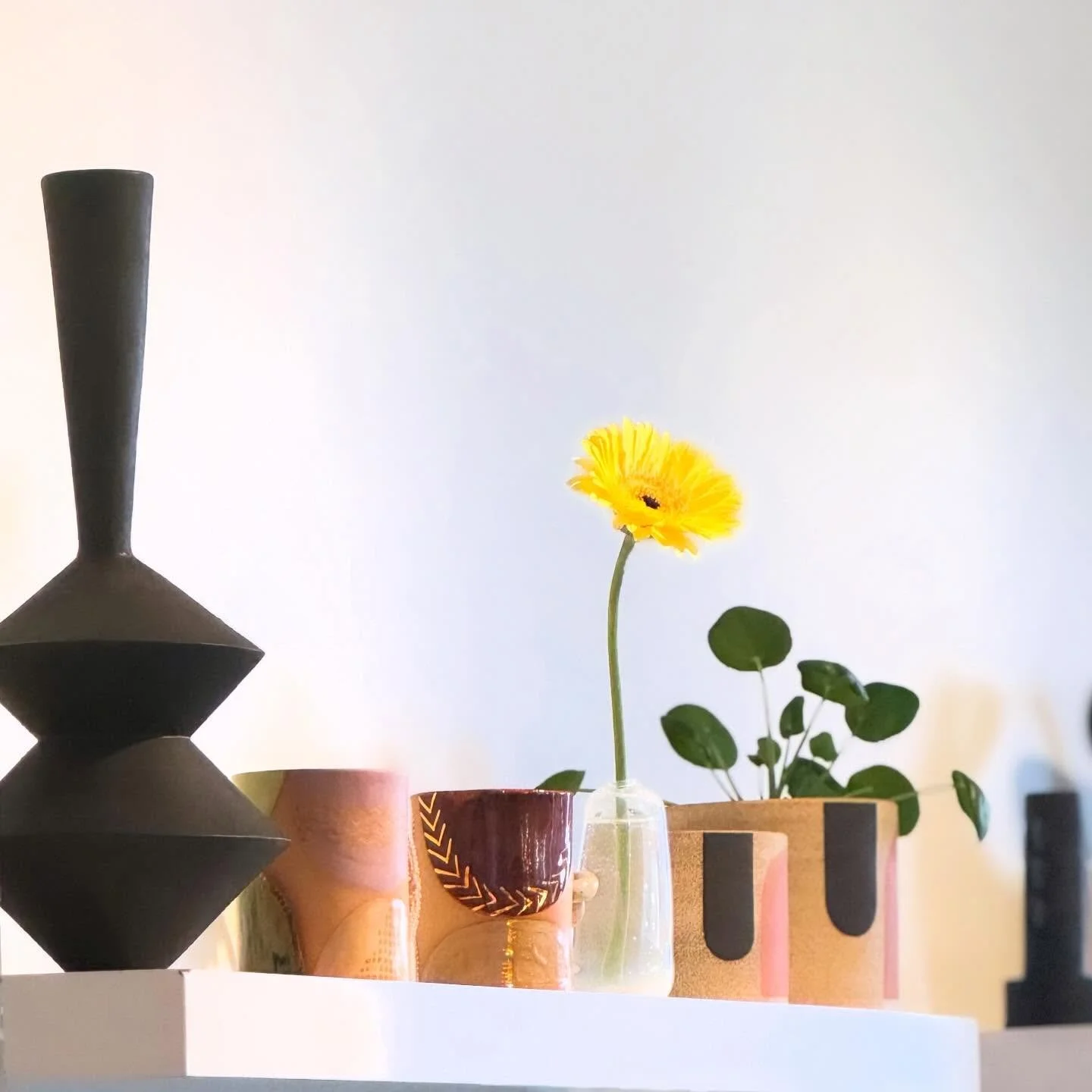 Open today 11-5 🌼