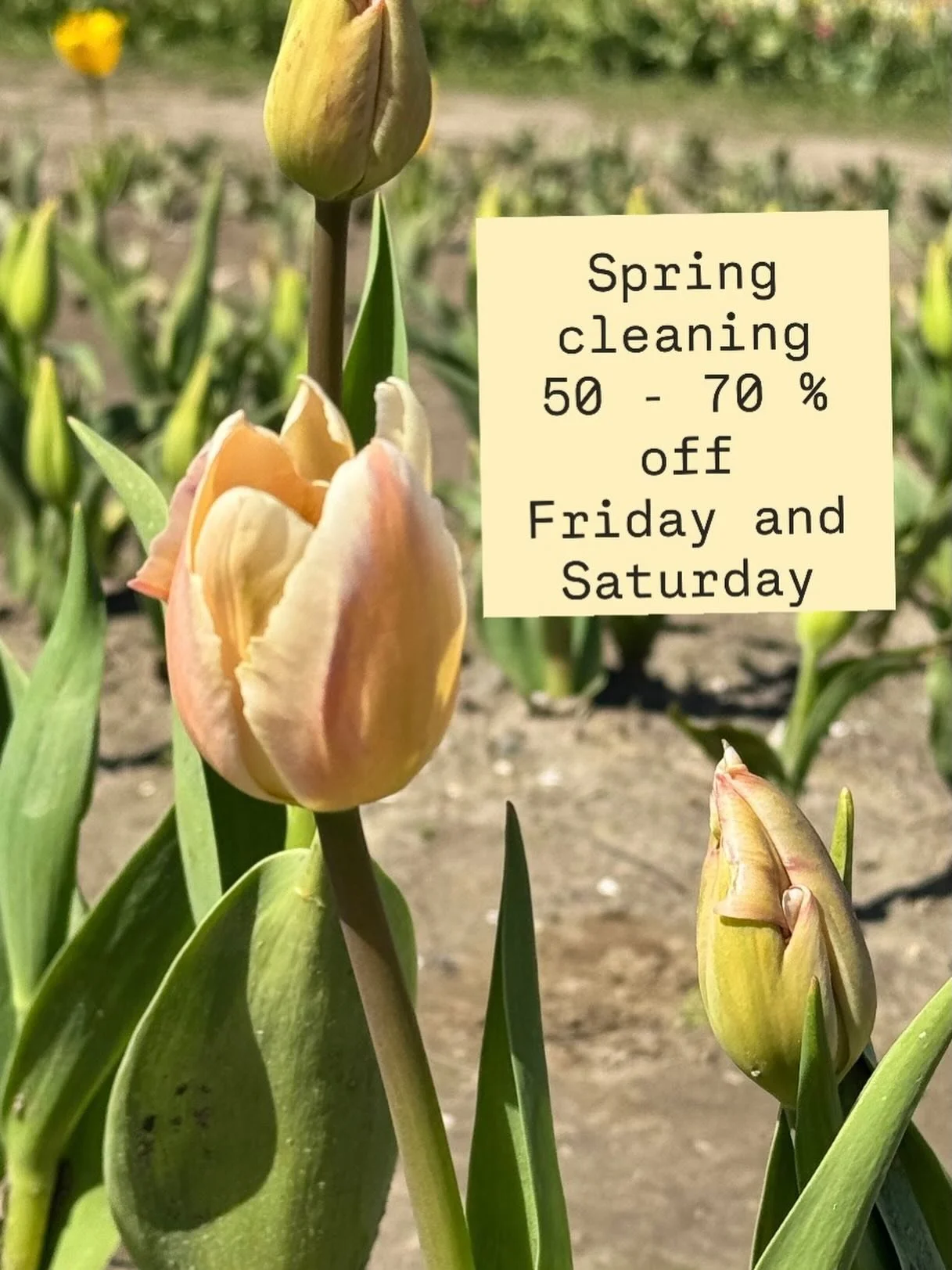 Spring cleaning!!! We will have so many things at 50 - 70 % off🌷🌷💕
Friday and Saturday only!
See you soon 

#petiboutique #seattleshop #shoplocalseattle #seattleboutique