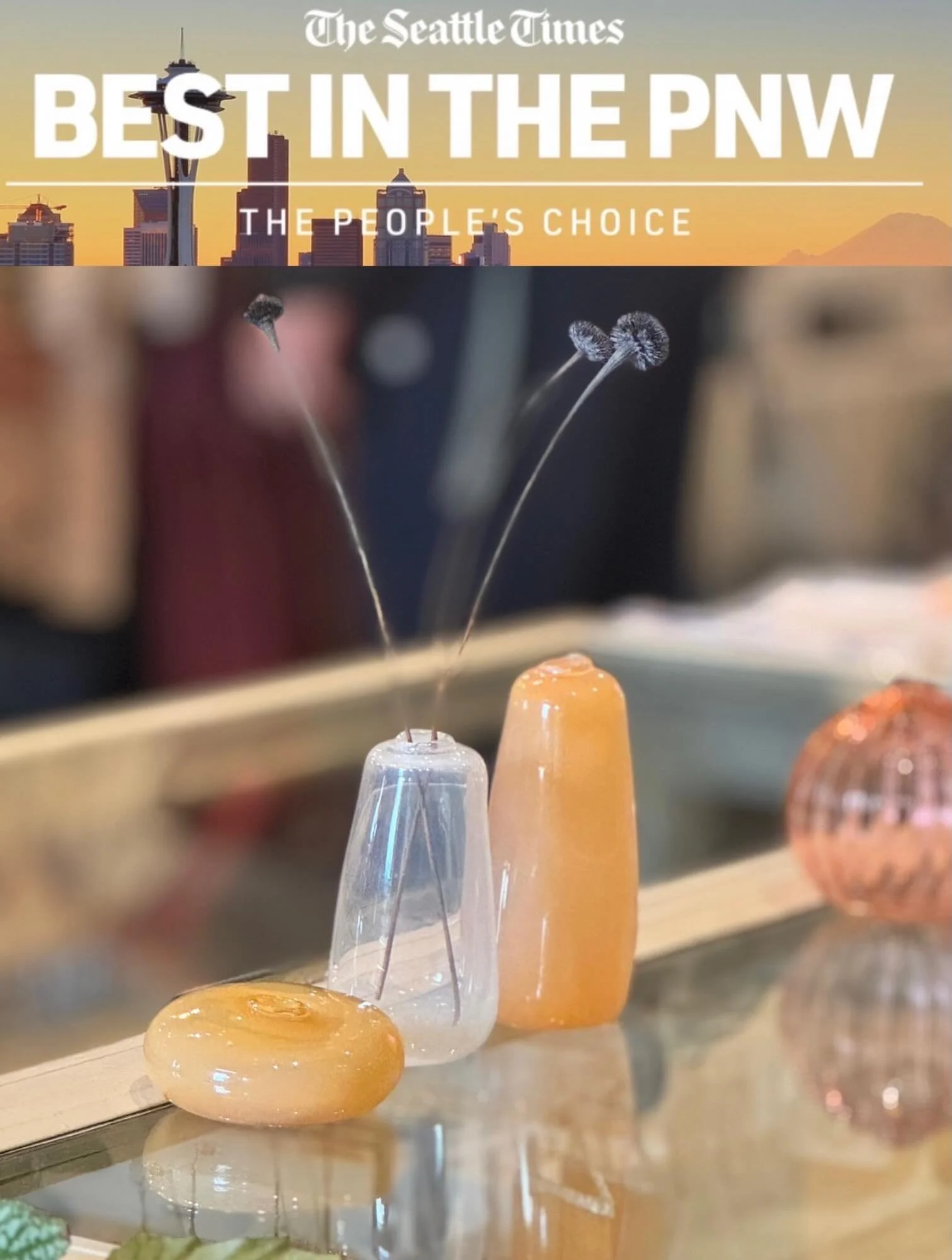 Vote for us 😉 www.votethepnw.com