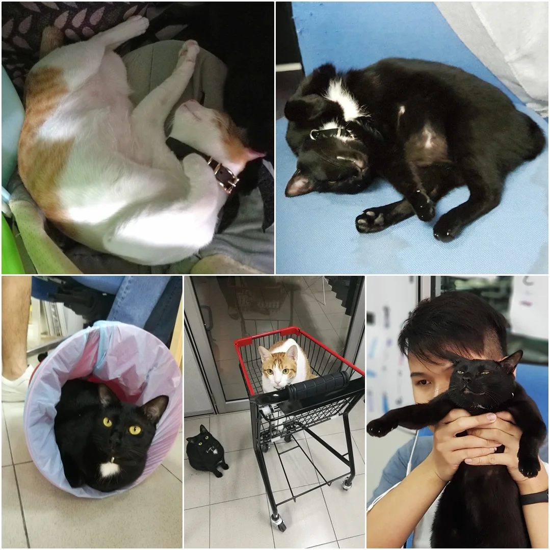 E.g. Weird sleeping posture, silly actions, priceless facial expression