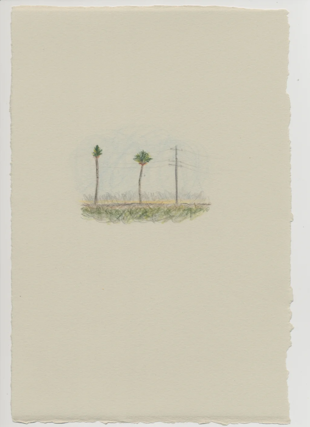 Two palms & pole