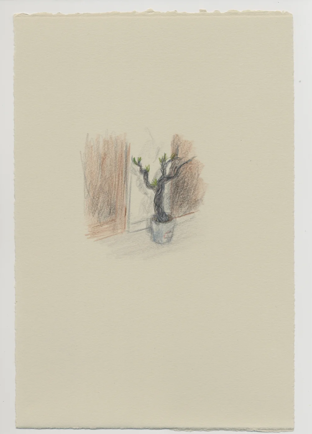 Gnarled tree