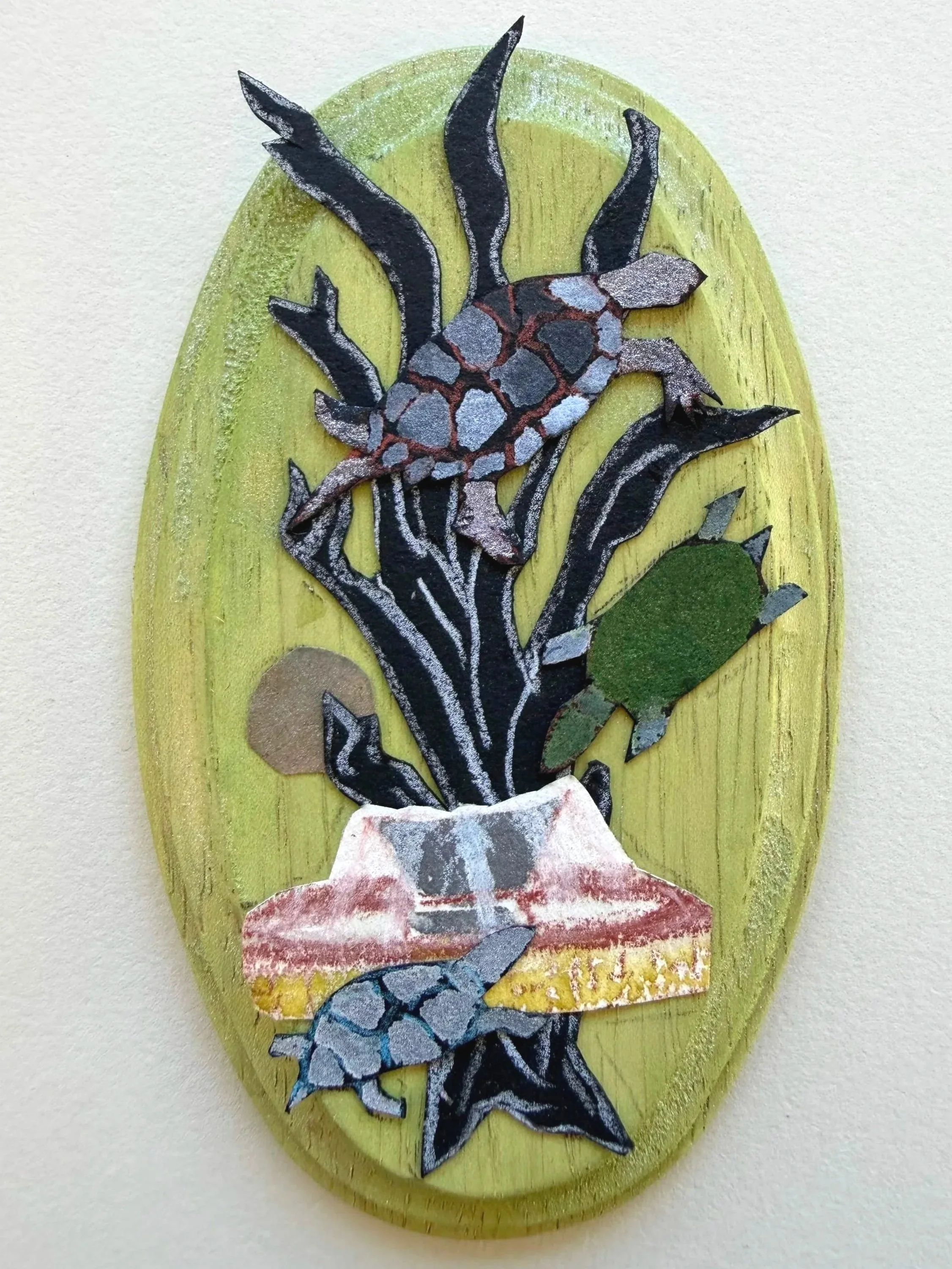 Turtle 5