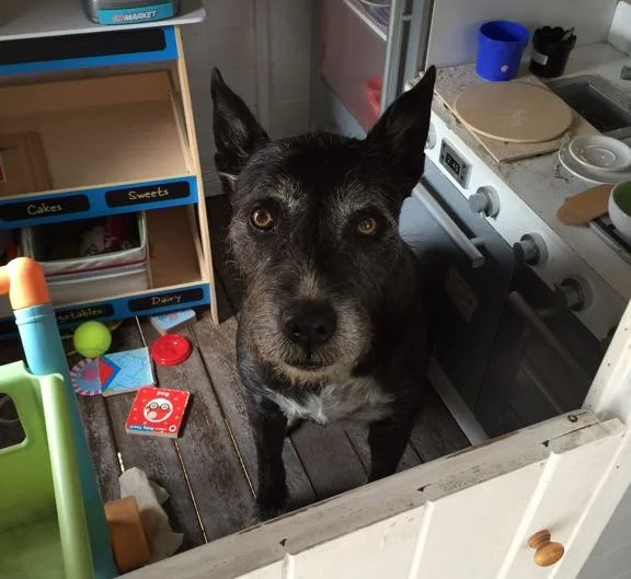 Jacko     (Site supervisor)