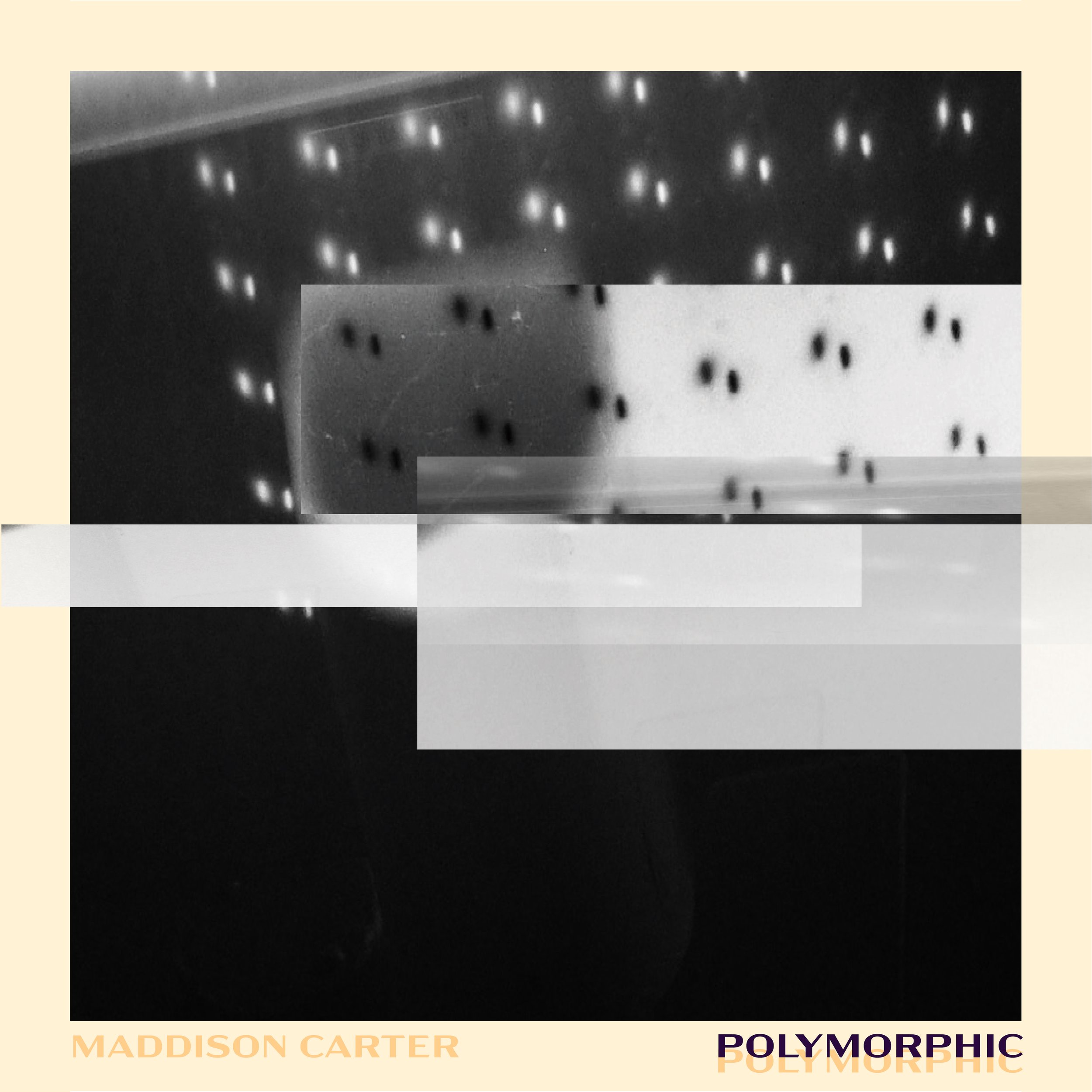 POLYMORPHIC Album Artwork bandcamp.jpeg