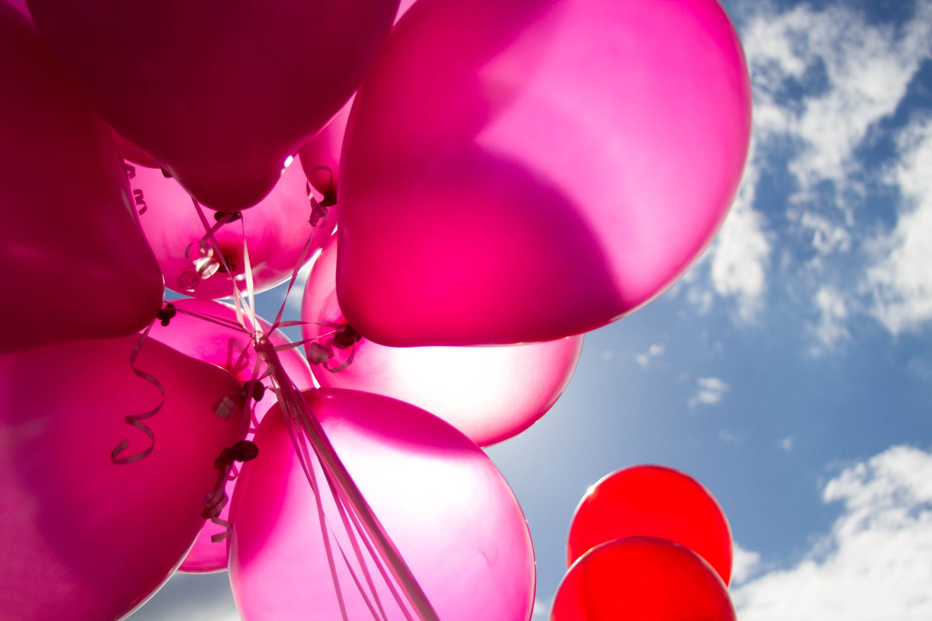 Fushcia Balloons_pexels-photo-226718.jpeg