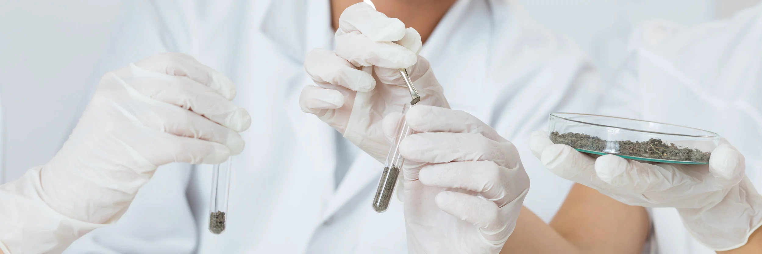 pipetting-to-test-tube-in-laboratory-PFBBQSP.jpg