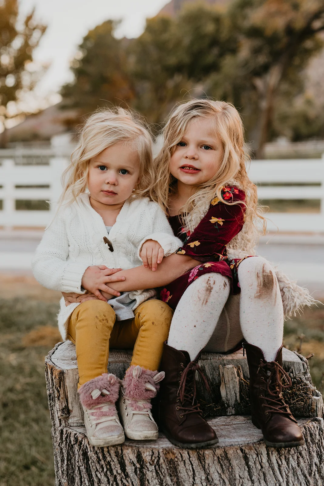 Fitzgerald Family at Spring Mountain Ranch