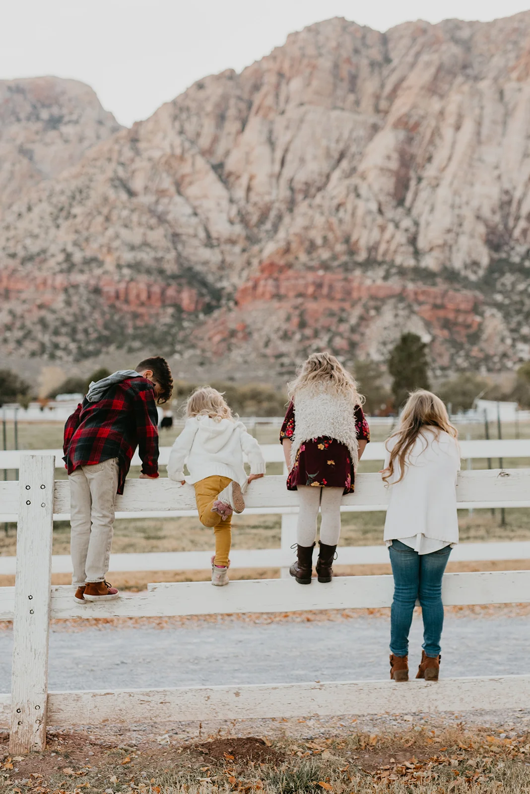 Fitzgerald Family at Spring Mountain Ranch